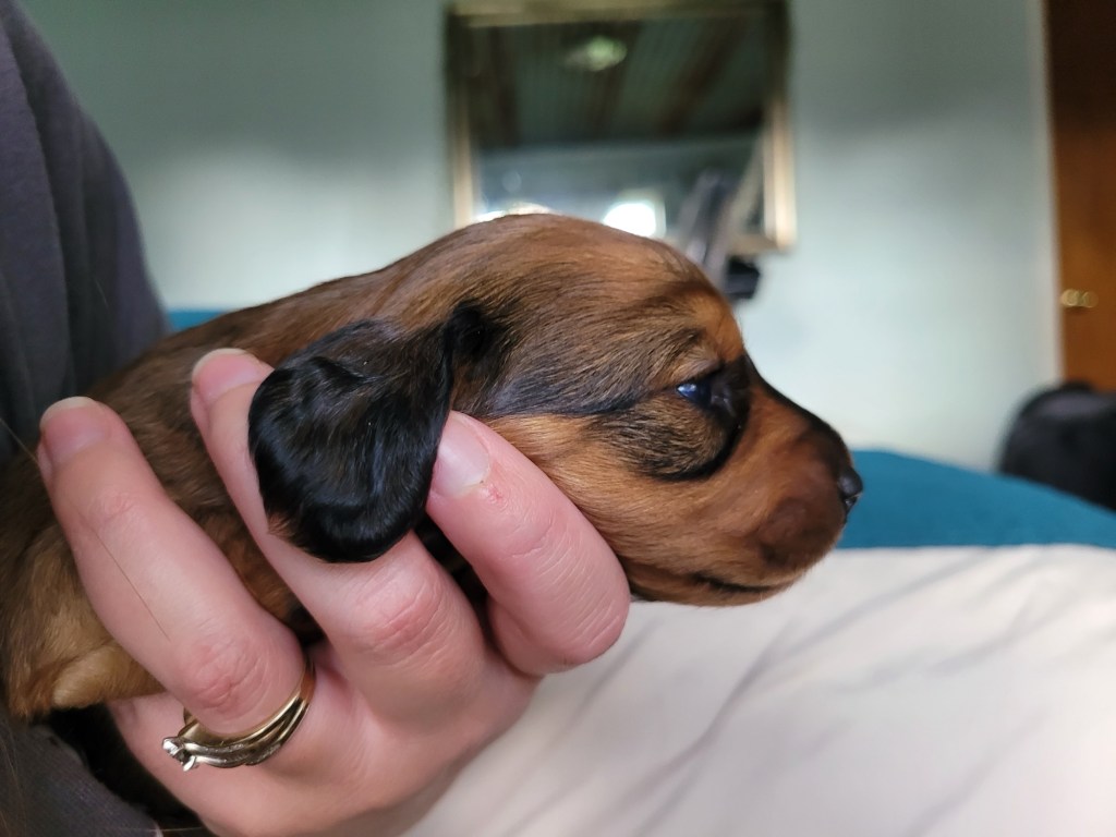 20240718_182650_original-1