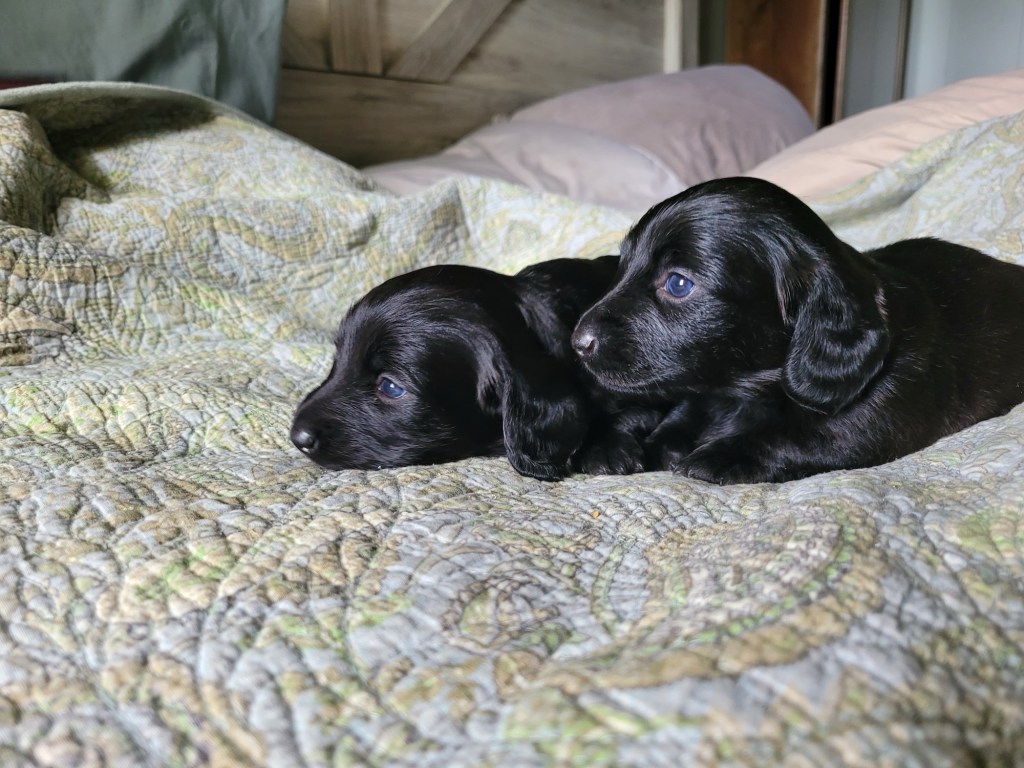 20240724_165138_original-1