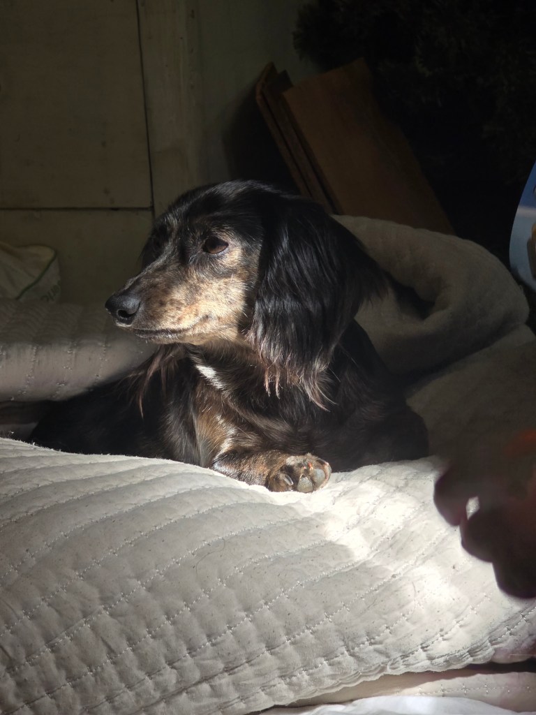 20250627_093849_original